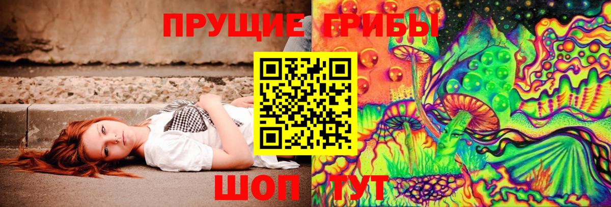 Сердобск  Псилоцибиновые грибы мухоморы  Вход с VPN 