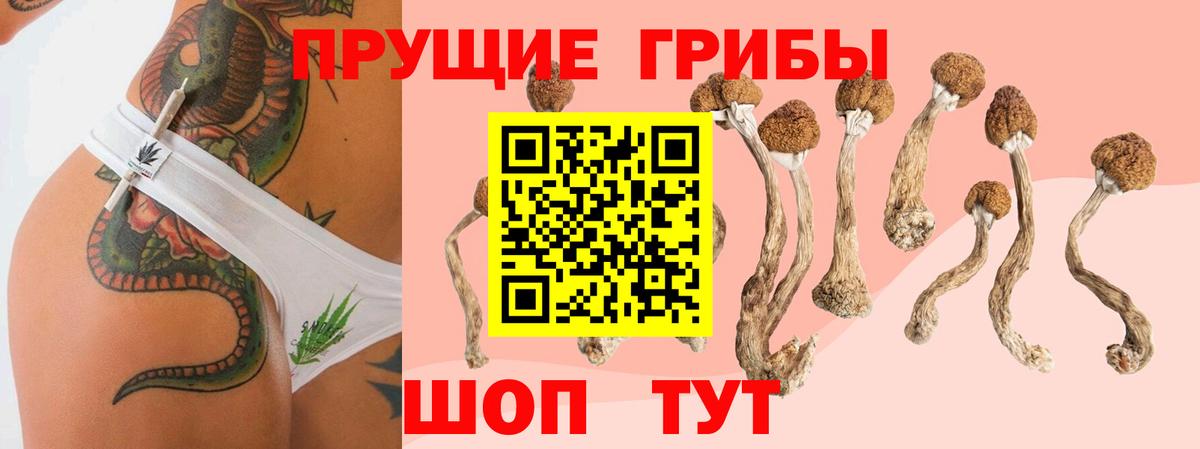 Псилоцибиновые грибы мухоморы Сердобск